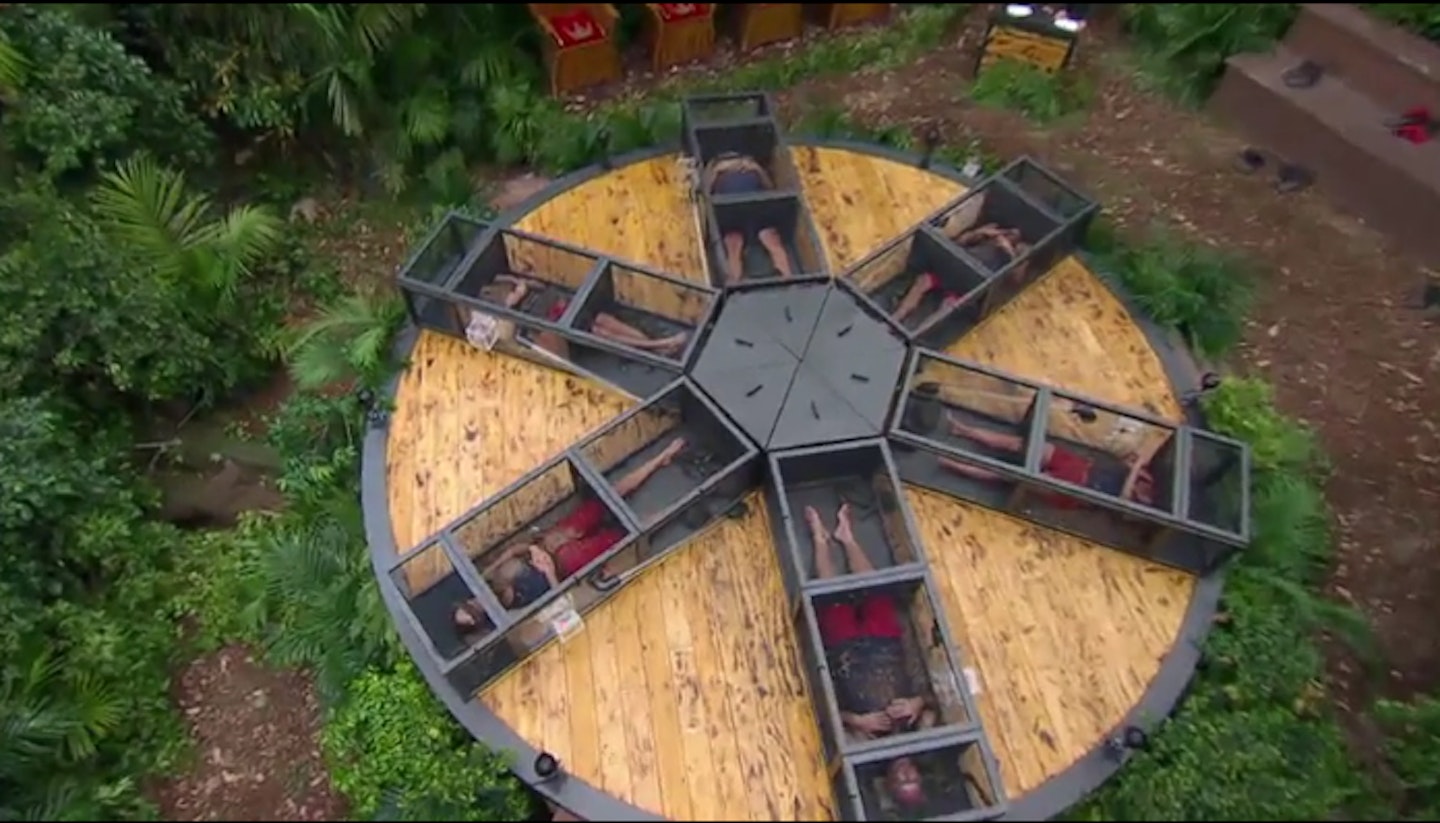 bushtucker trial
