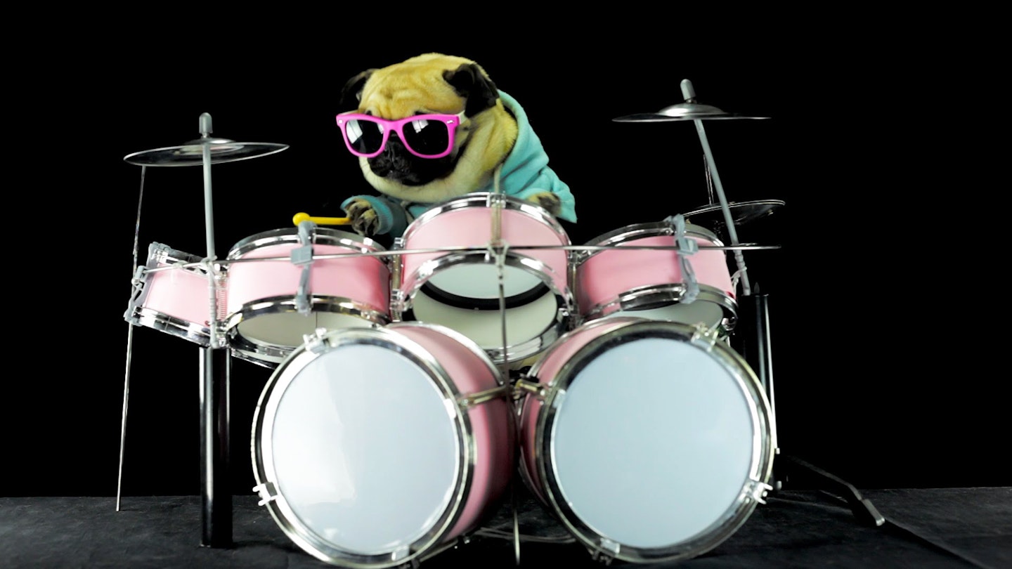 Drum roll