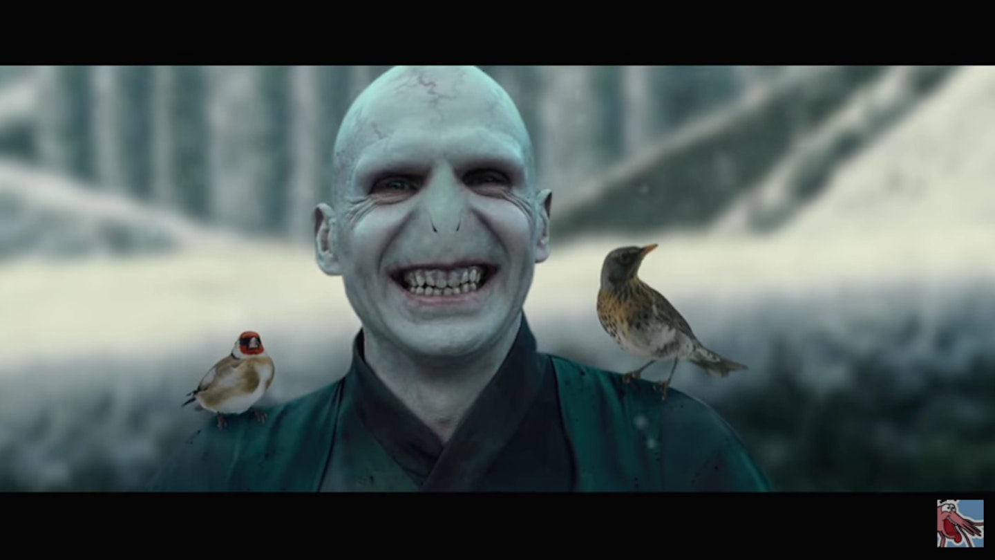 beauty and voldemort