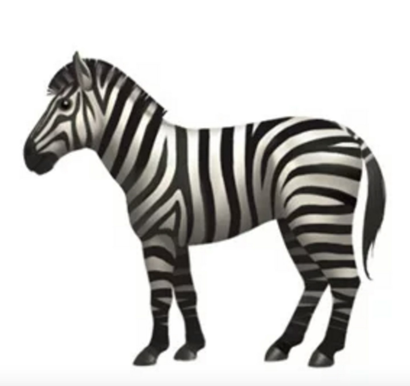 zebra