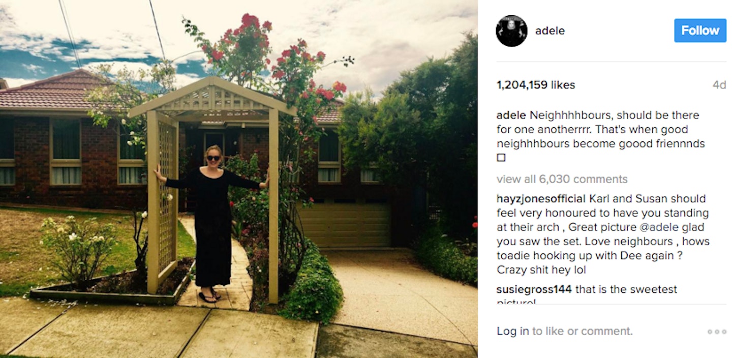 Adele Neighbours