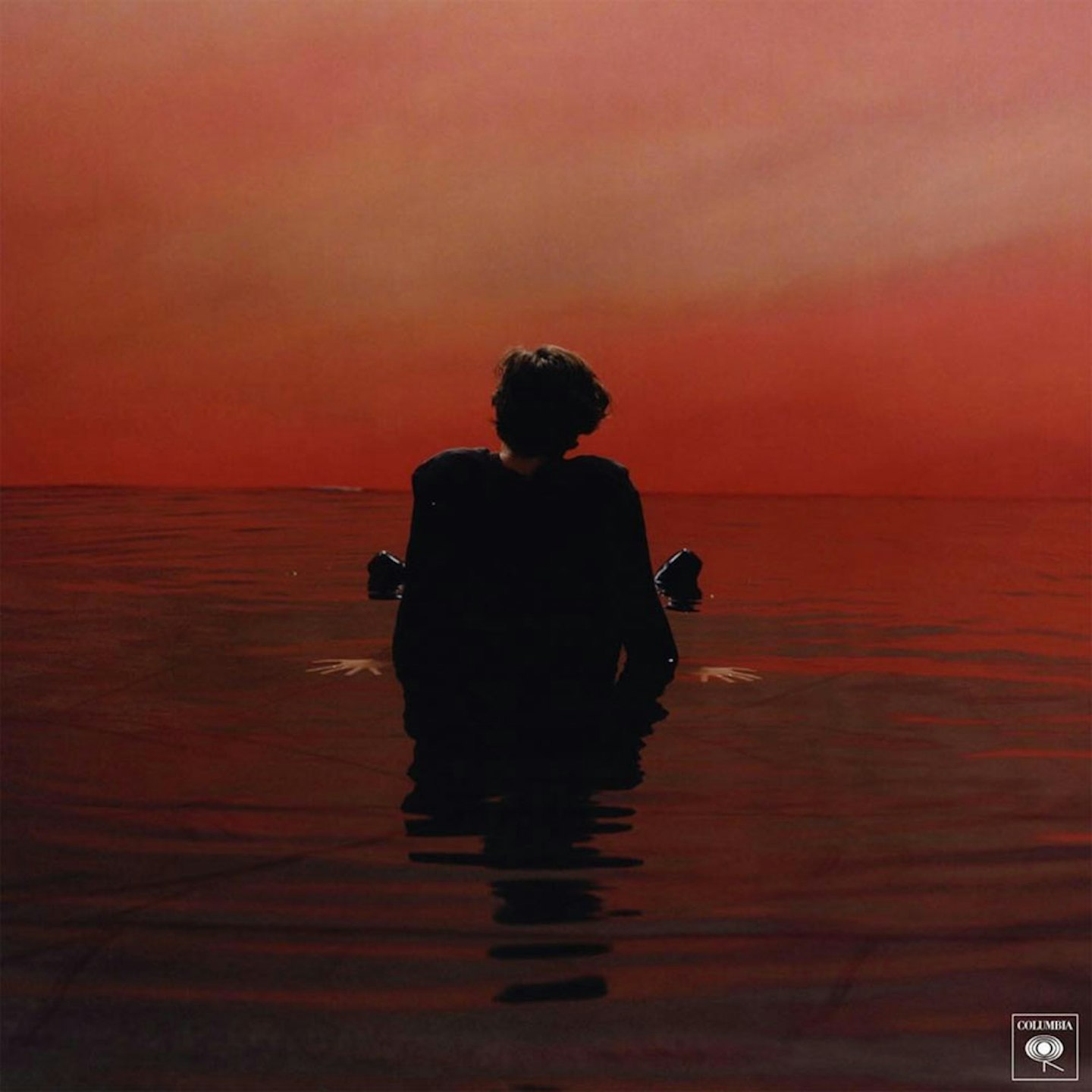 HARRY STYLES SIGN OF THE TIMES ARTWORK