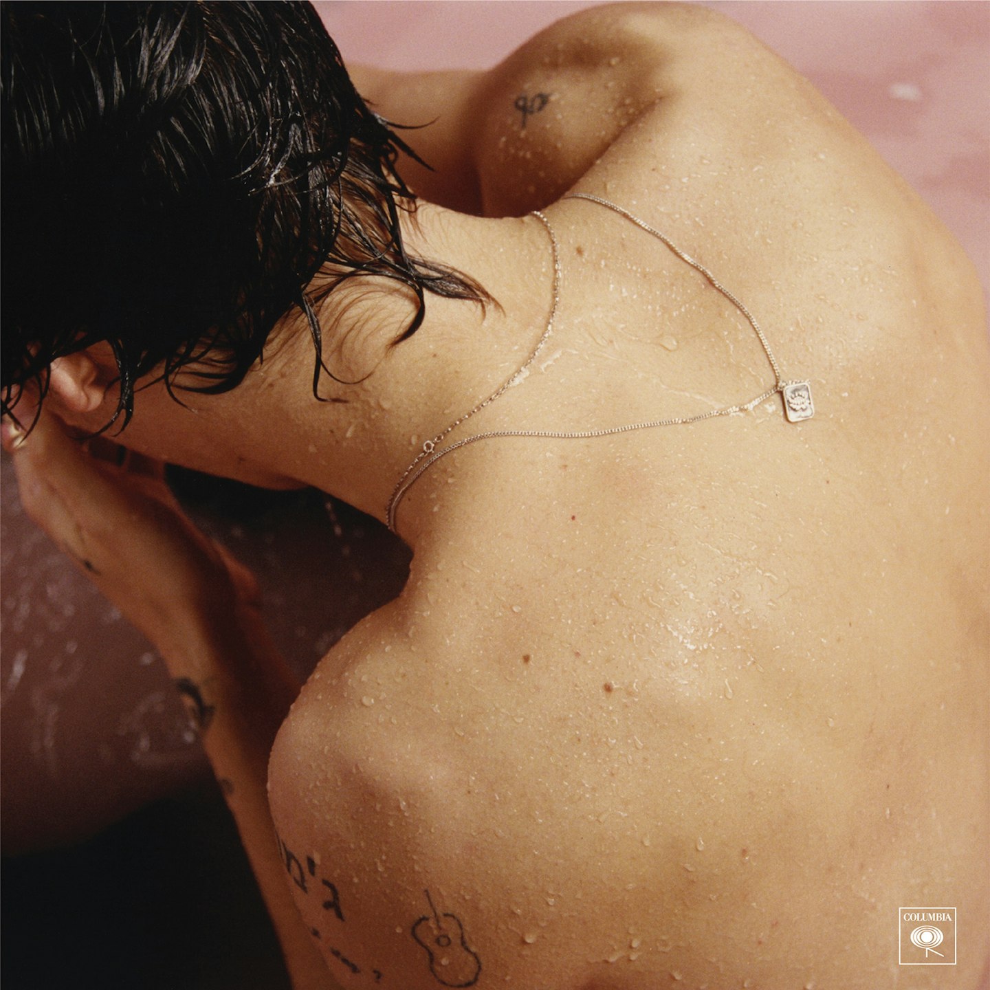 Harry Styles album artwork