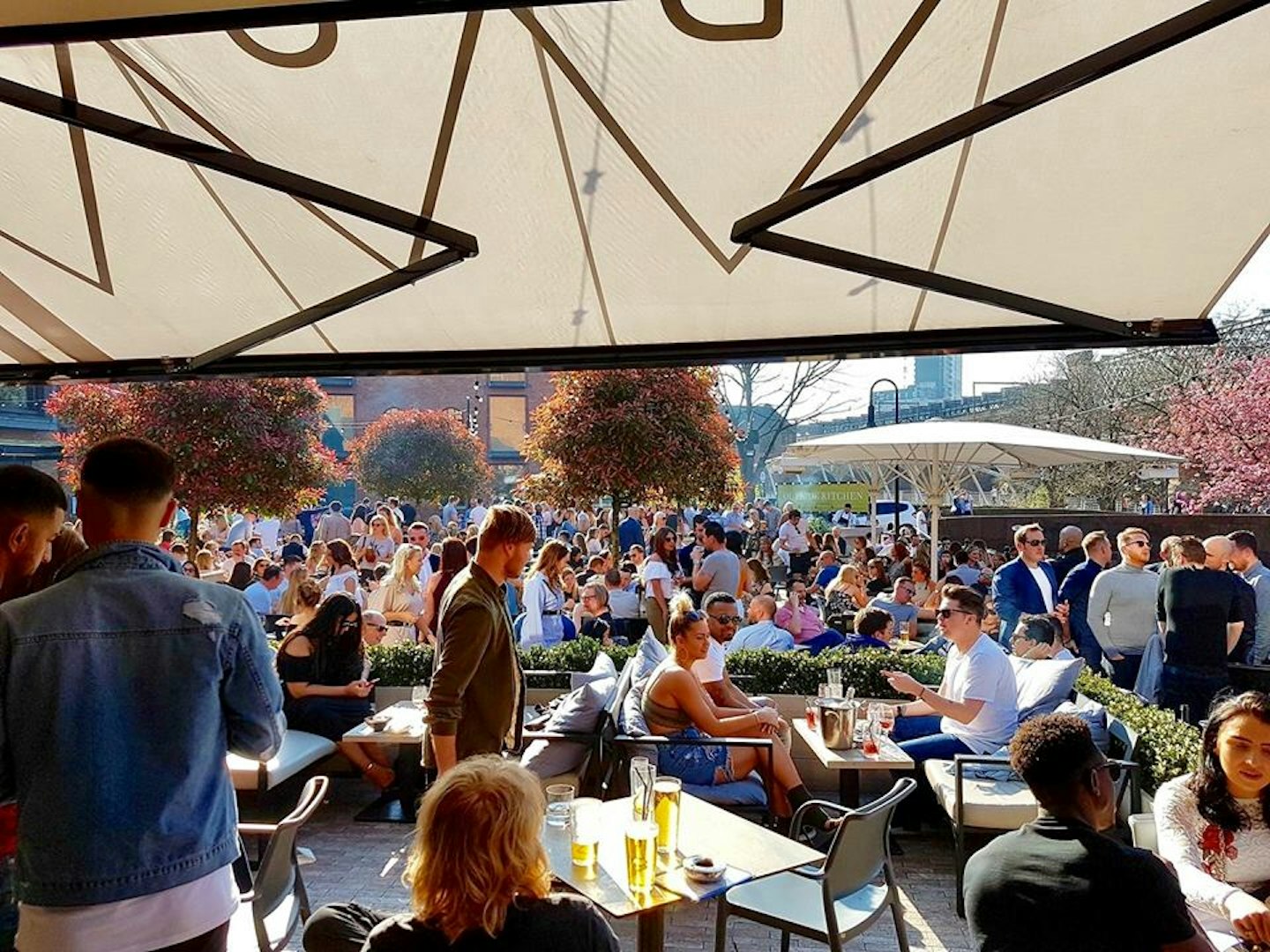 best beer gardens 