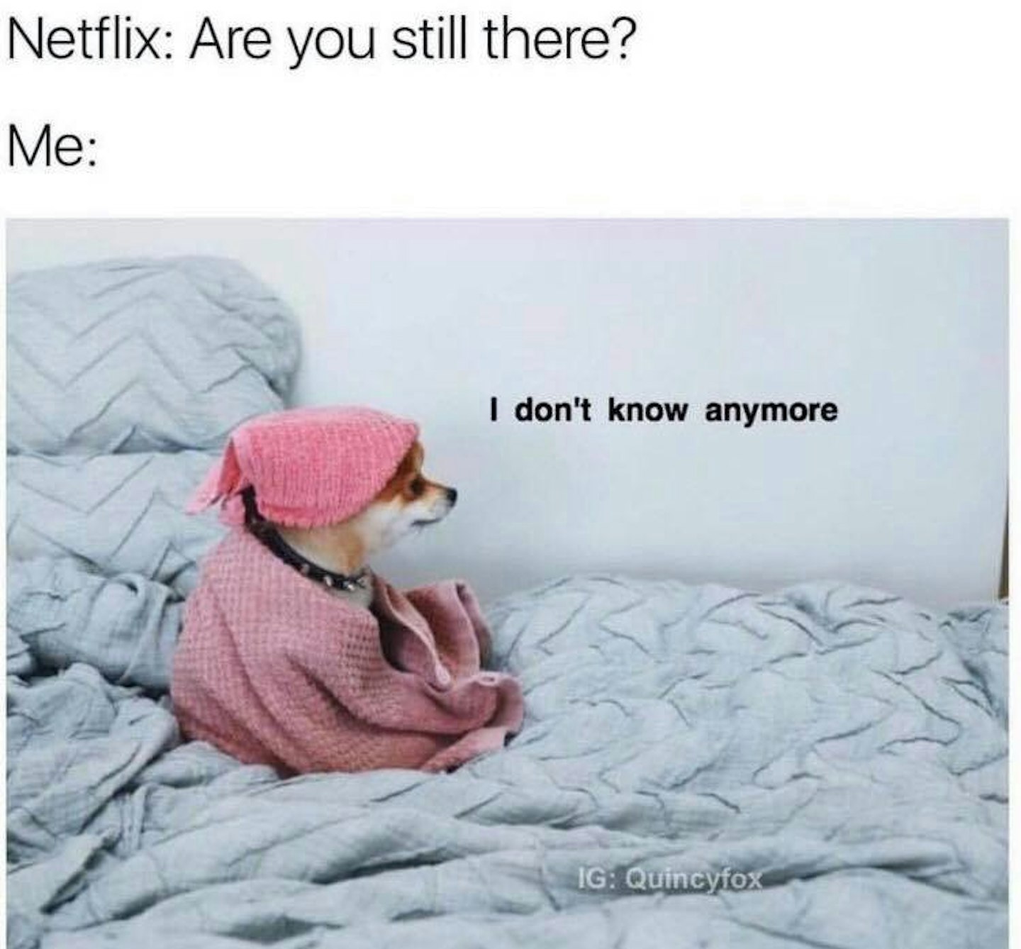 Netflix-meme