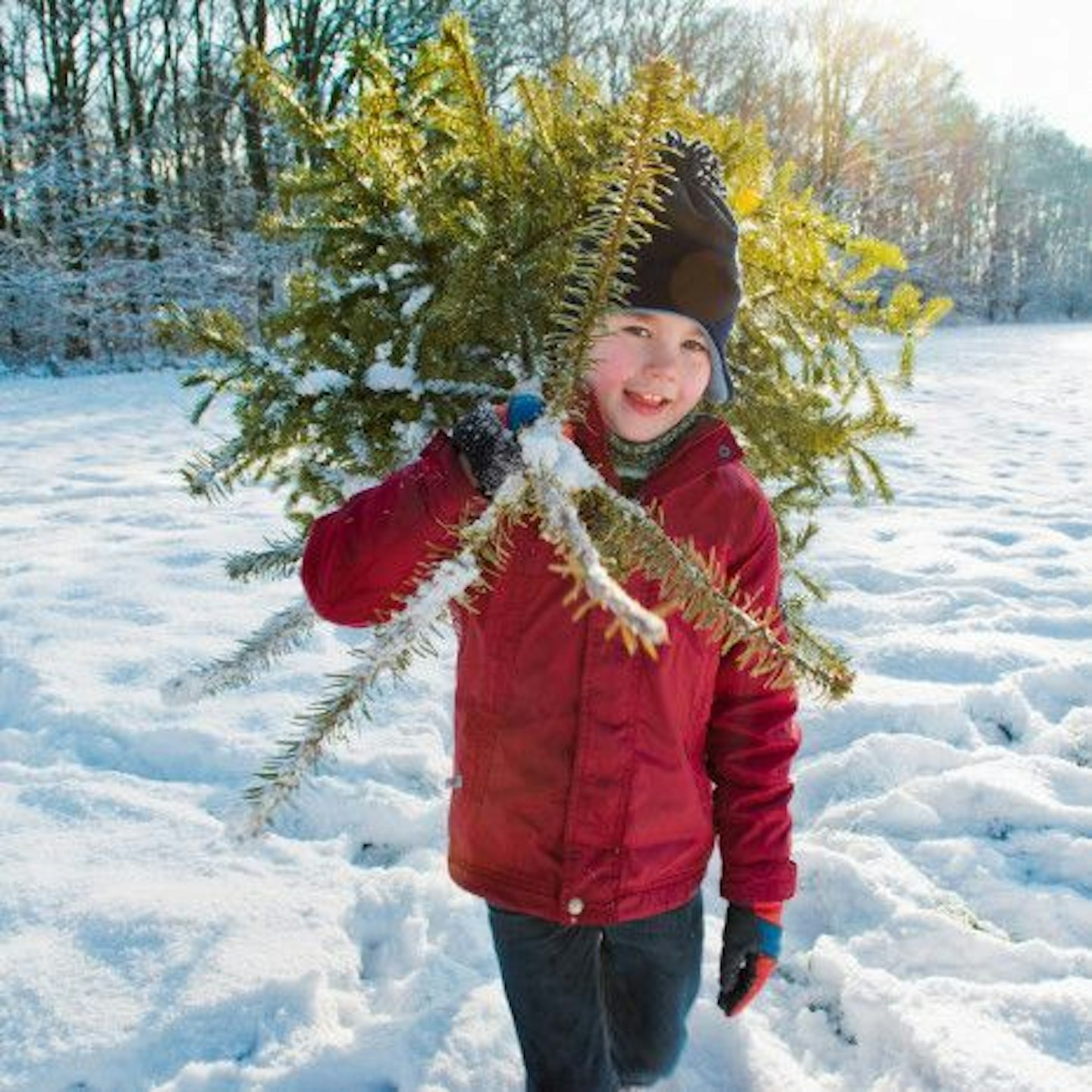 boy-snow-christmas-tree