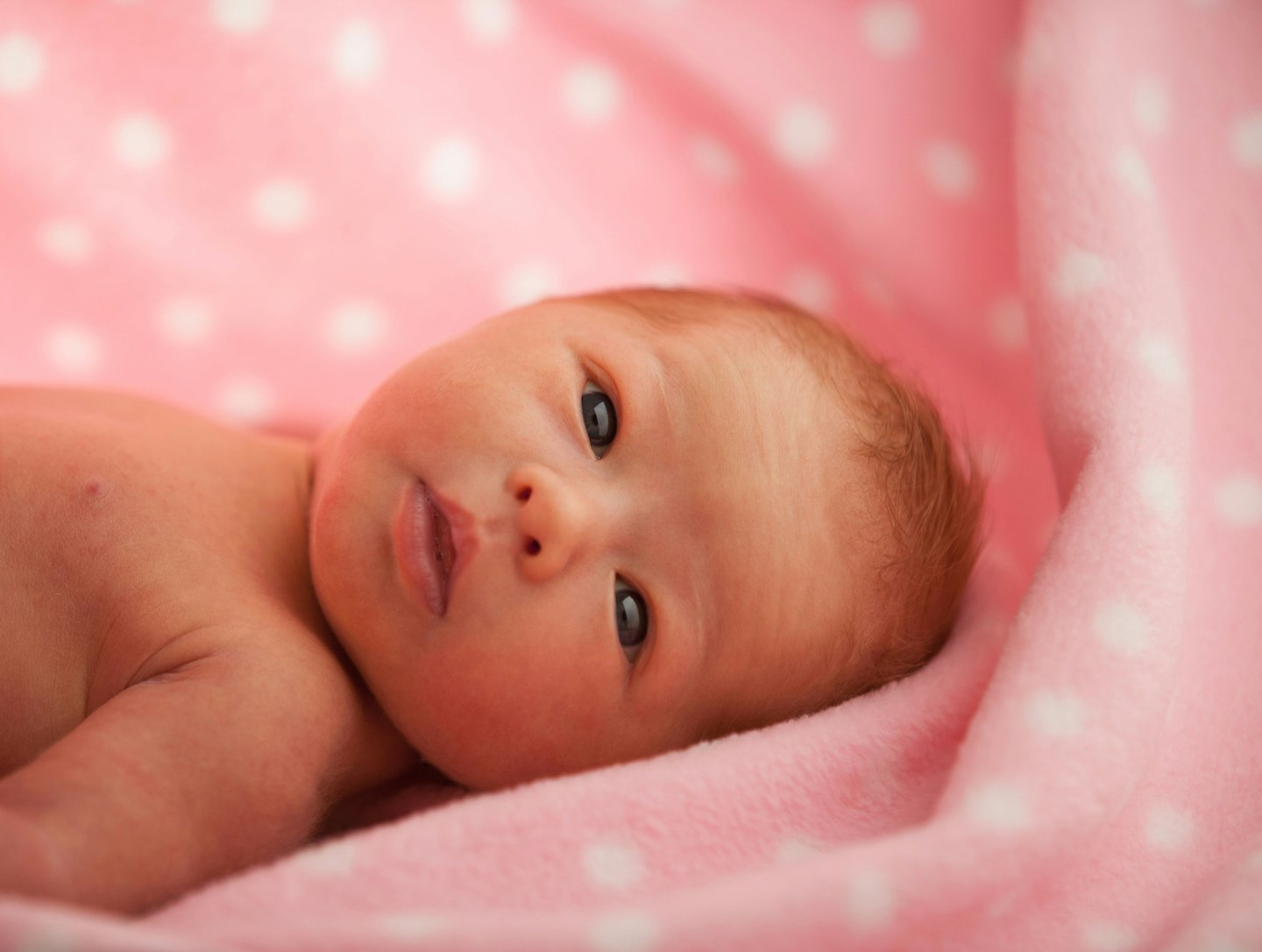 newborn babies adoption