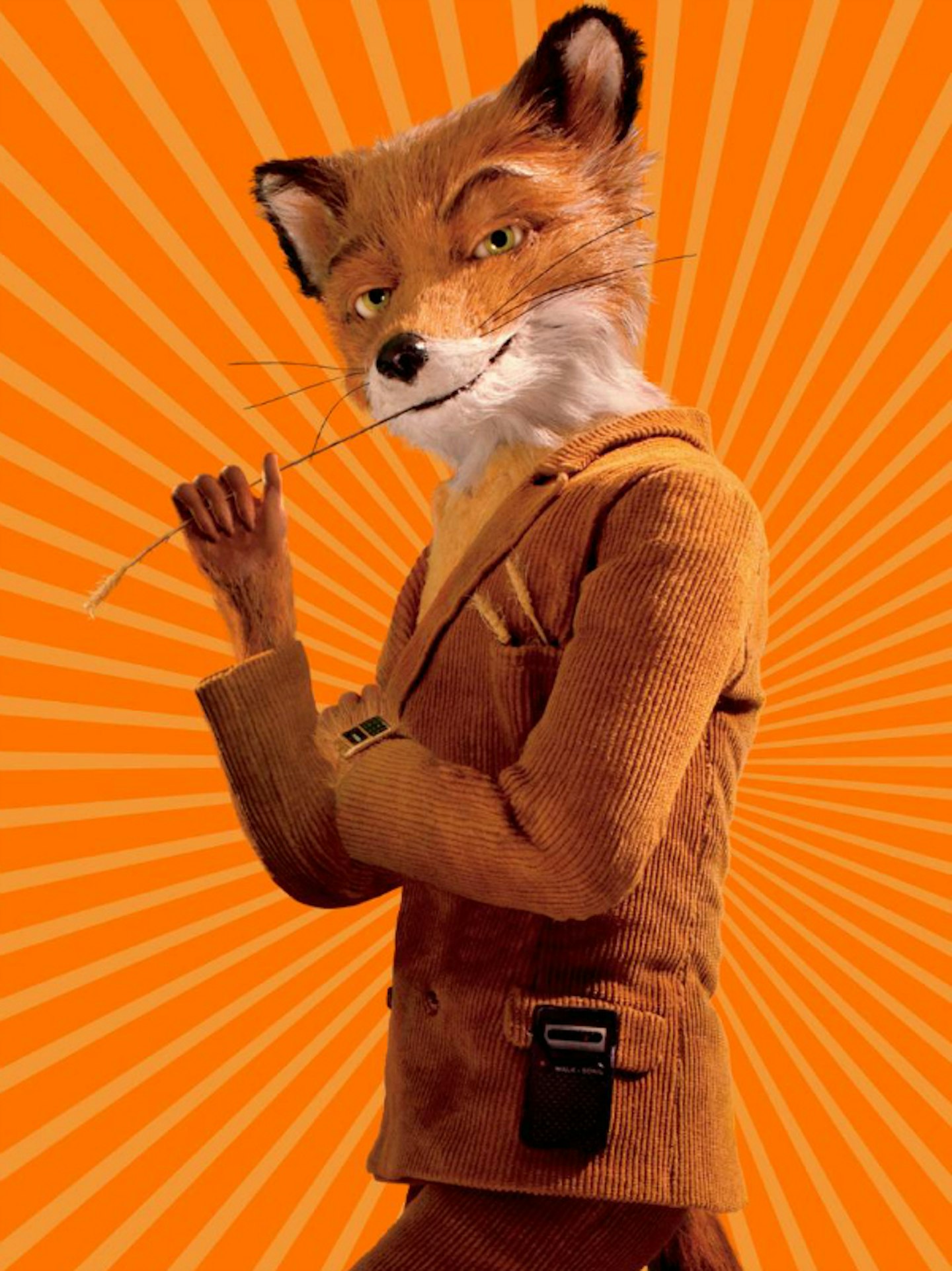 fantastic-mr-fox-world-book-day-costume-idea-outfit