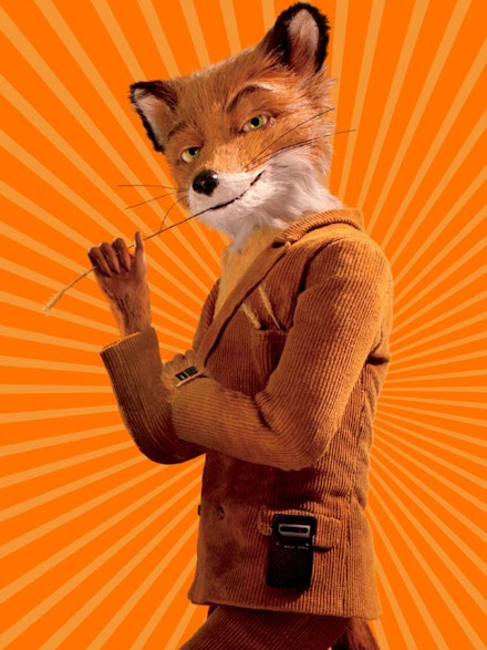 fantastic-mr-fox-world-book-day-costume-idea-outfit