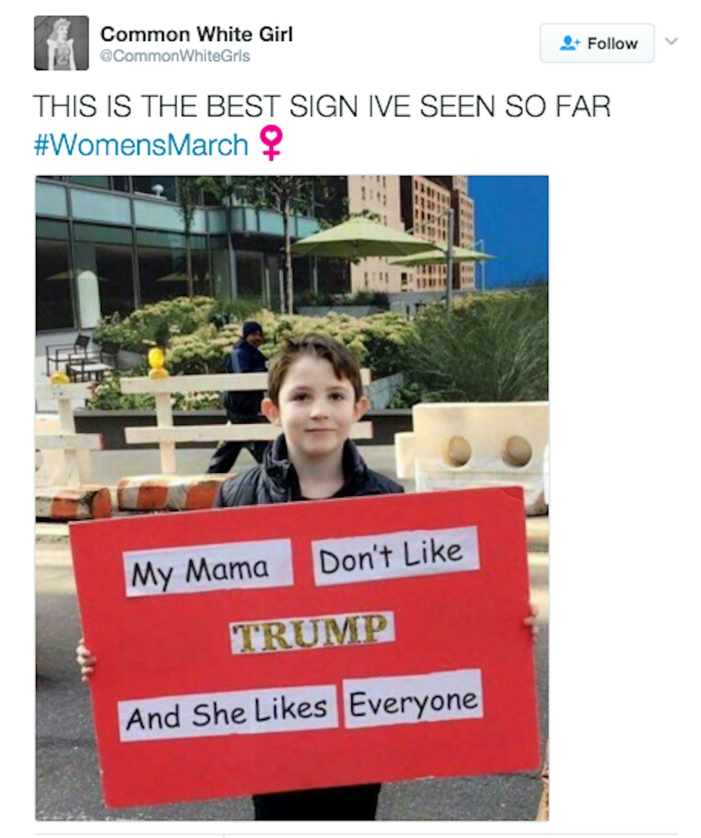 Womens March Banner