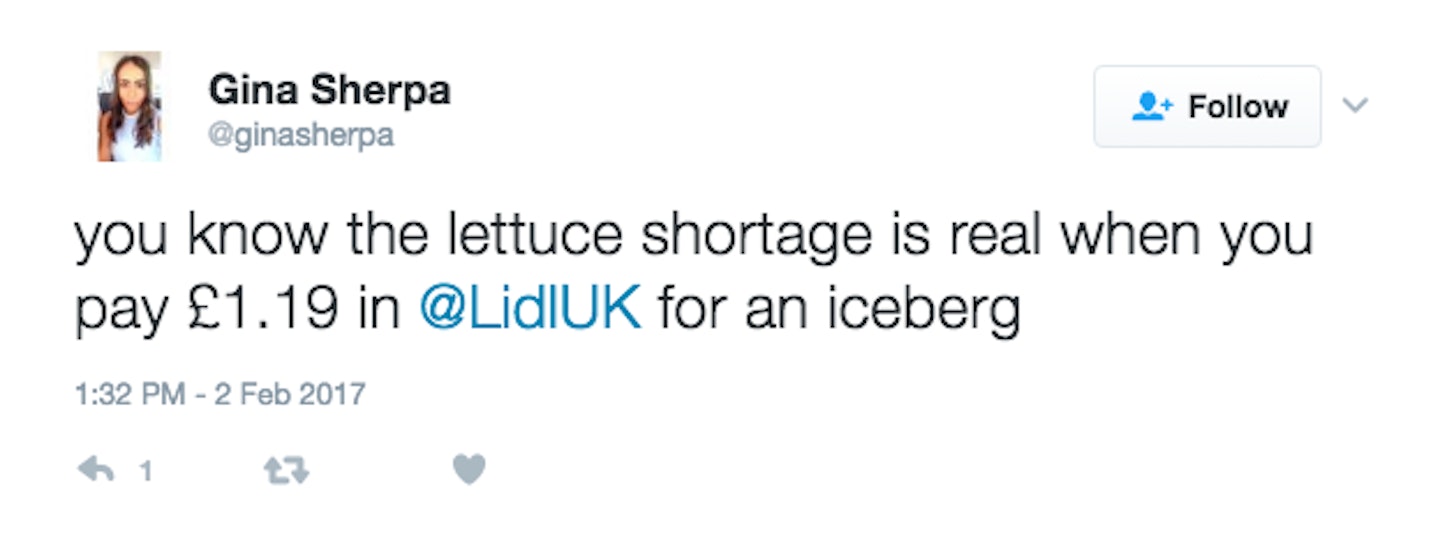 Lettuce shortage, salad shortage