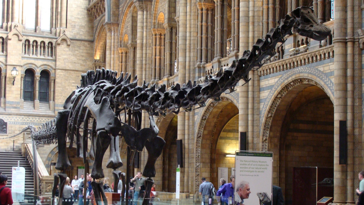 natural-history-museum-london-dippy-diplodocus