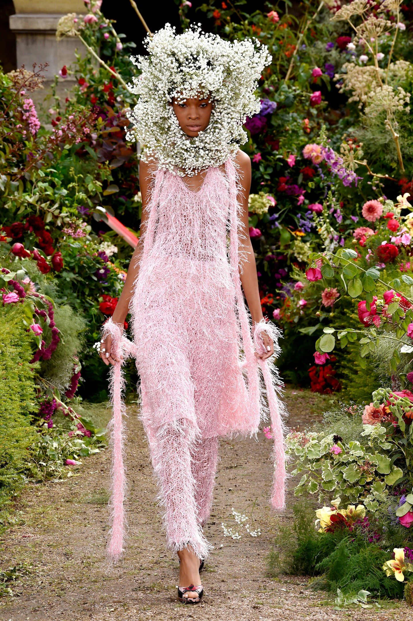 rodarte