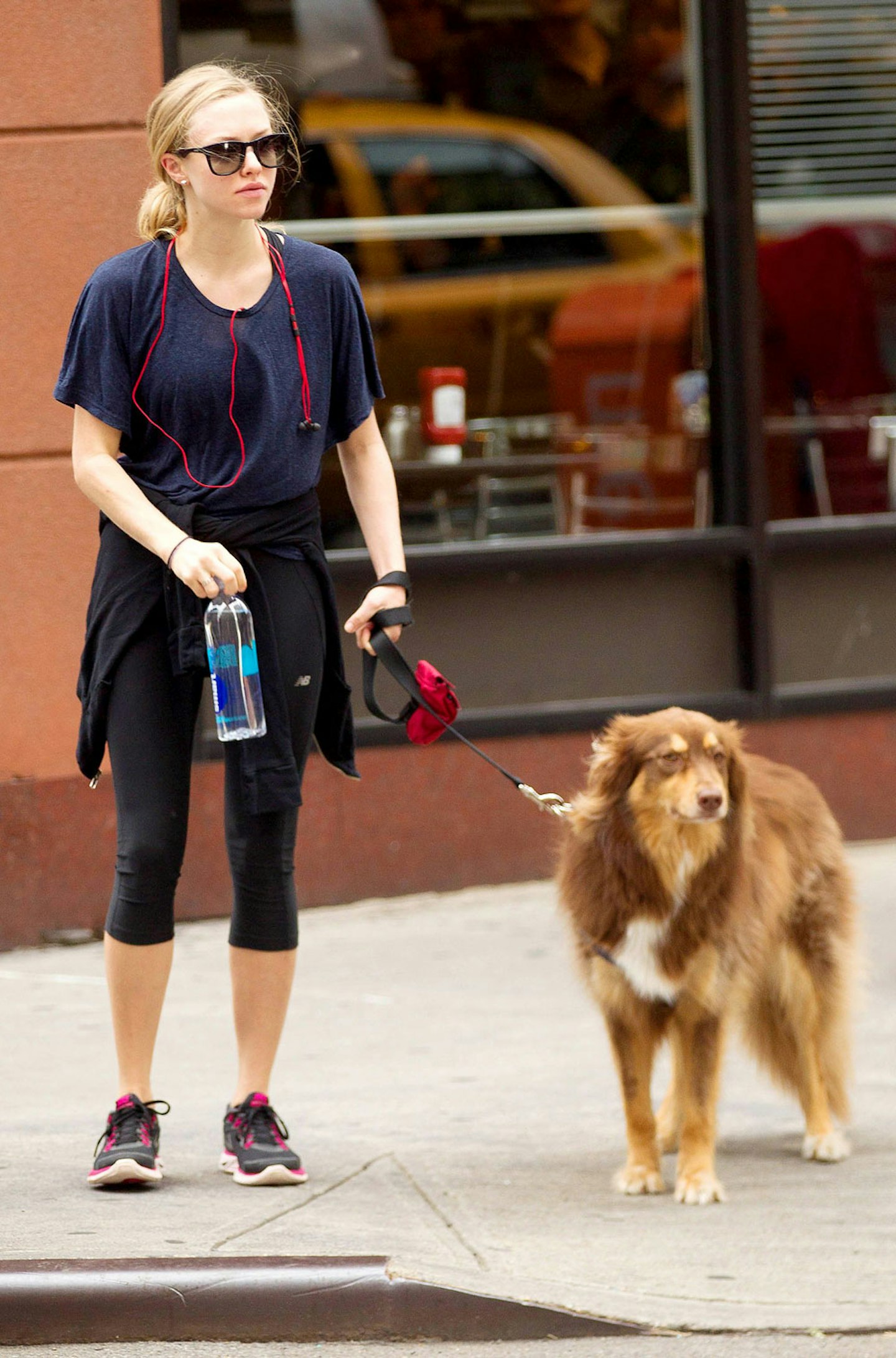 Amanda Seyfried and dog