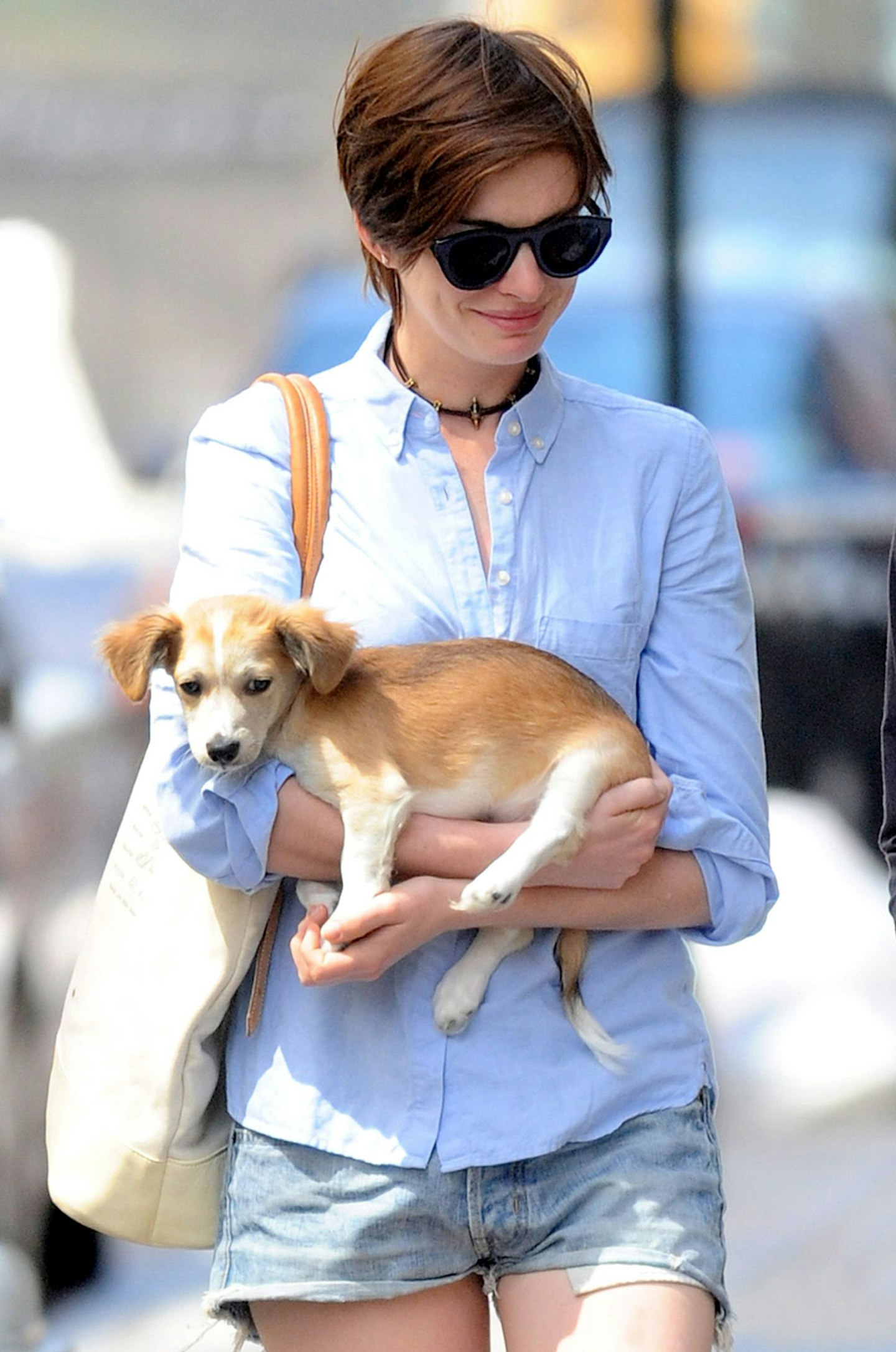 Anne Hathaway and dog