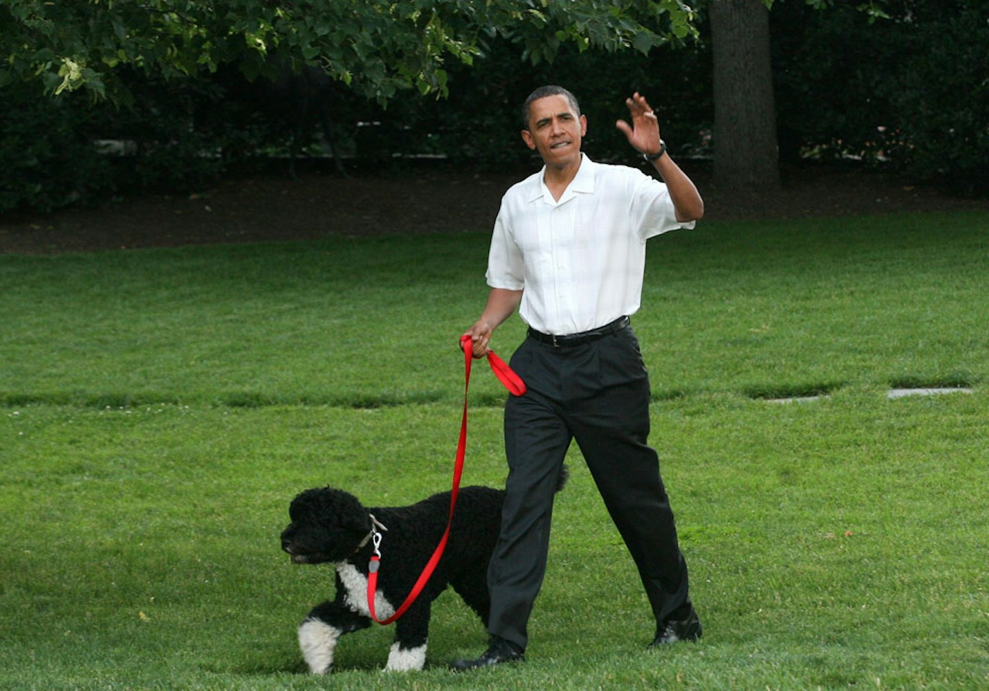 Barack Obama and dog