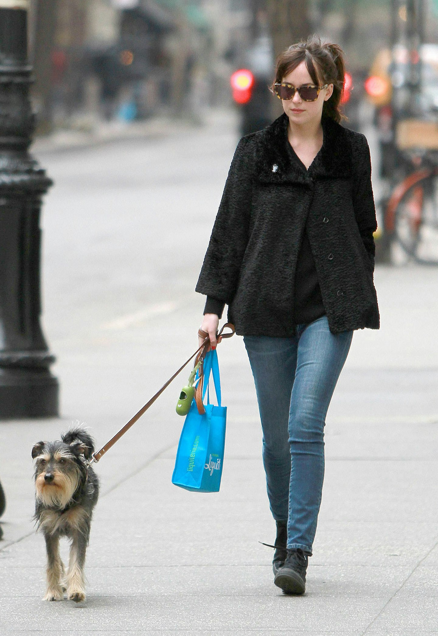 Dakota Johnson and dog