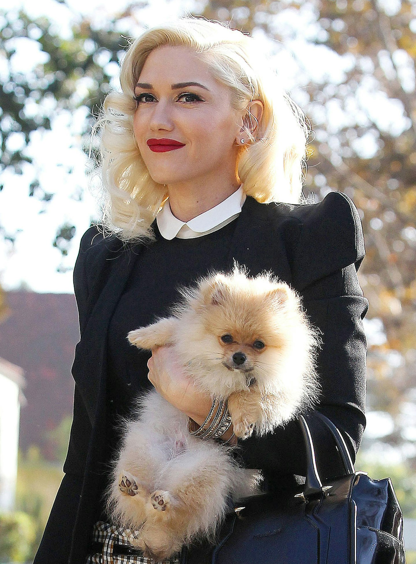 Gwen Stefani and dog