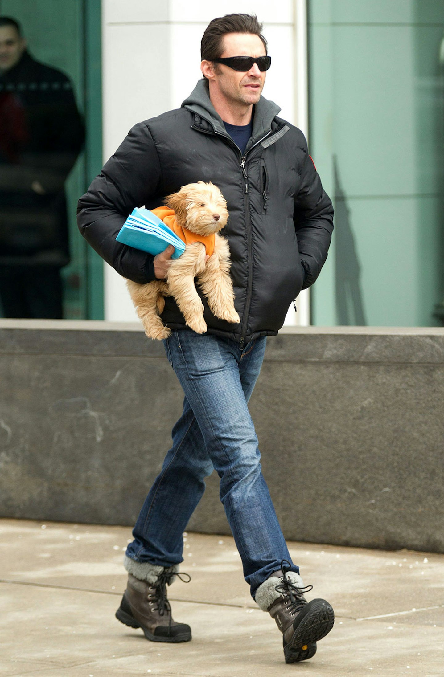 Hugh Jackman and dog