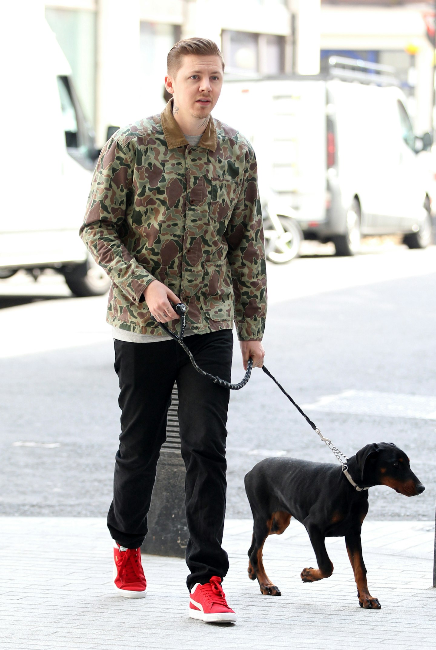 Professor Green and dog