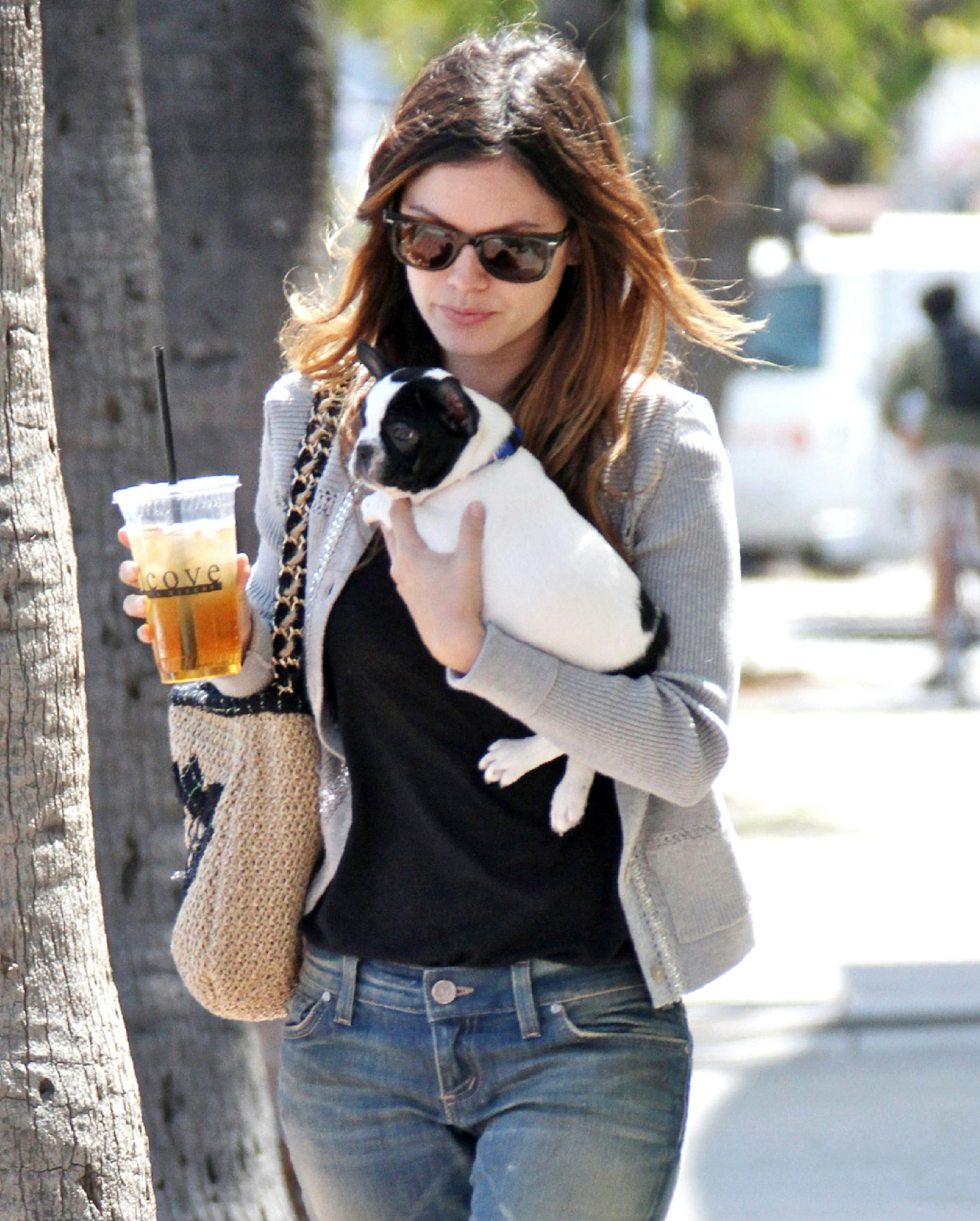 Rachel Bilson and dog