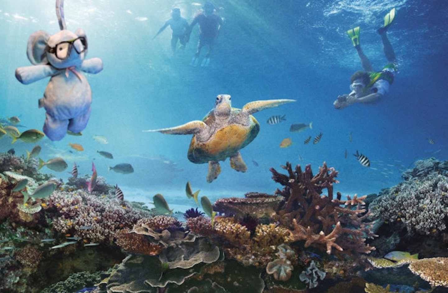 Photoshop elephant toy visits the Great Barrier Reef
