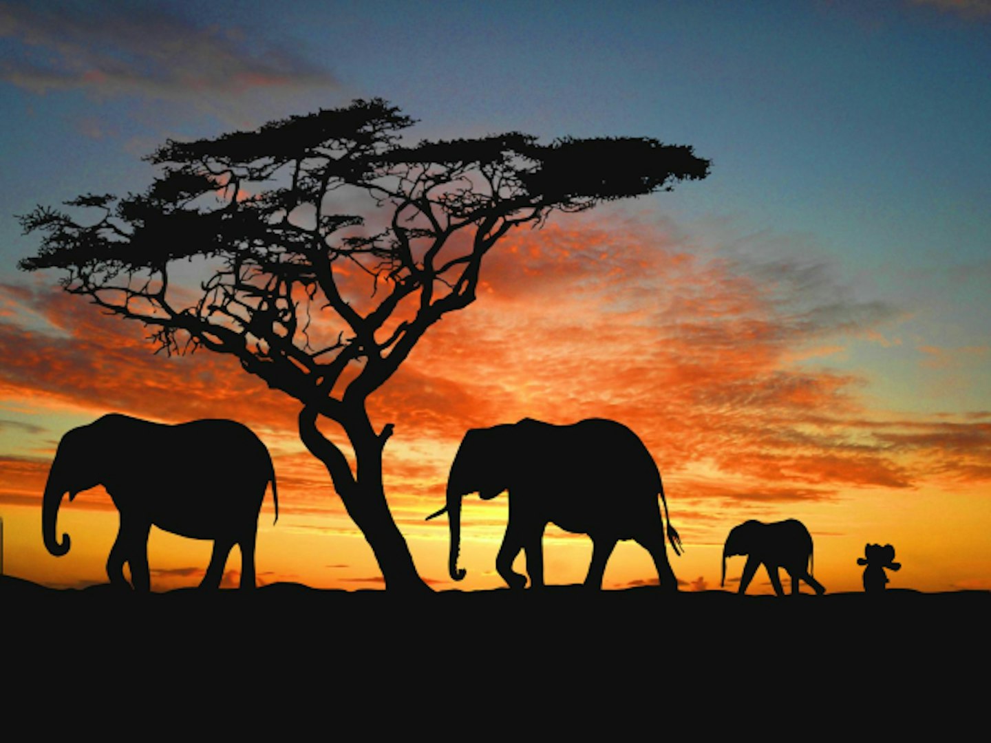 Photoshop elephant toy visits Africa