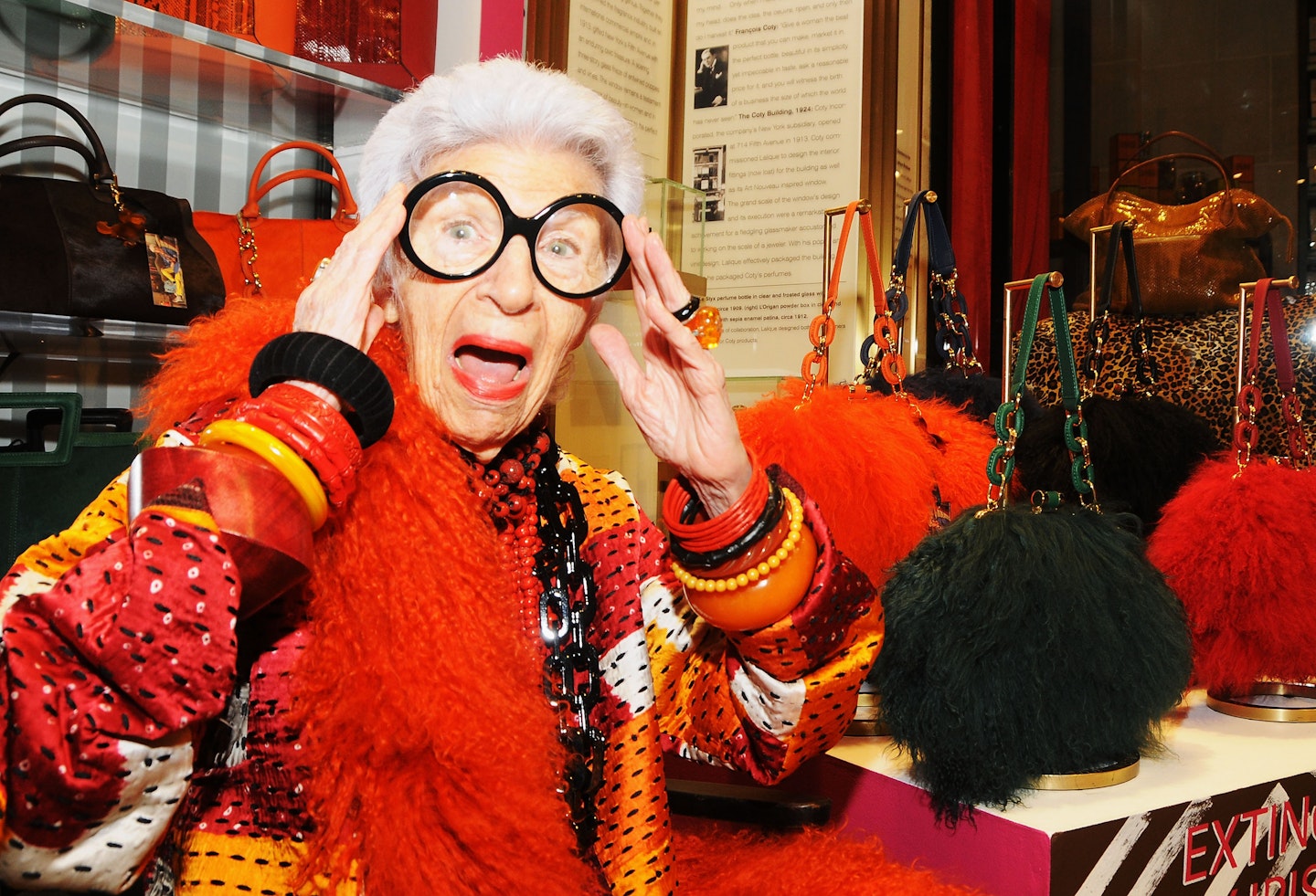 iris-apfel