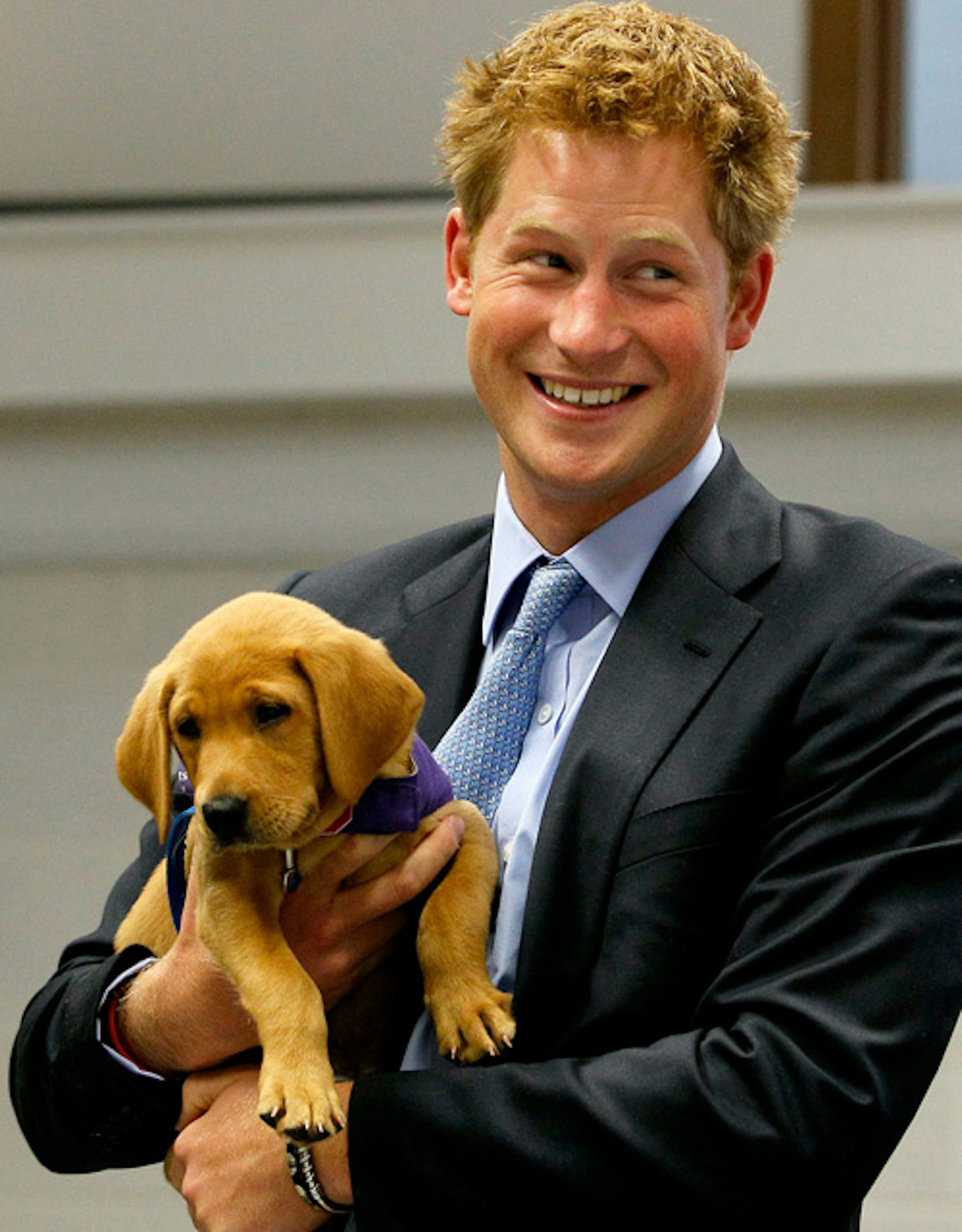 Prince Harry