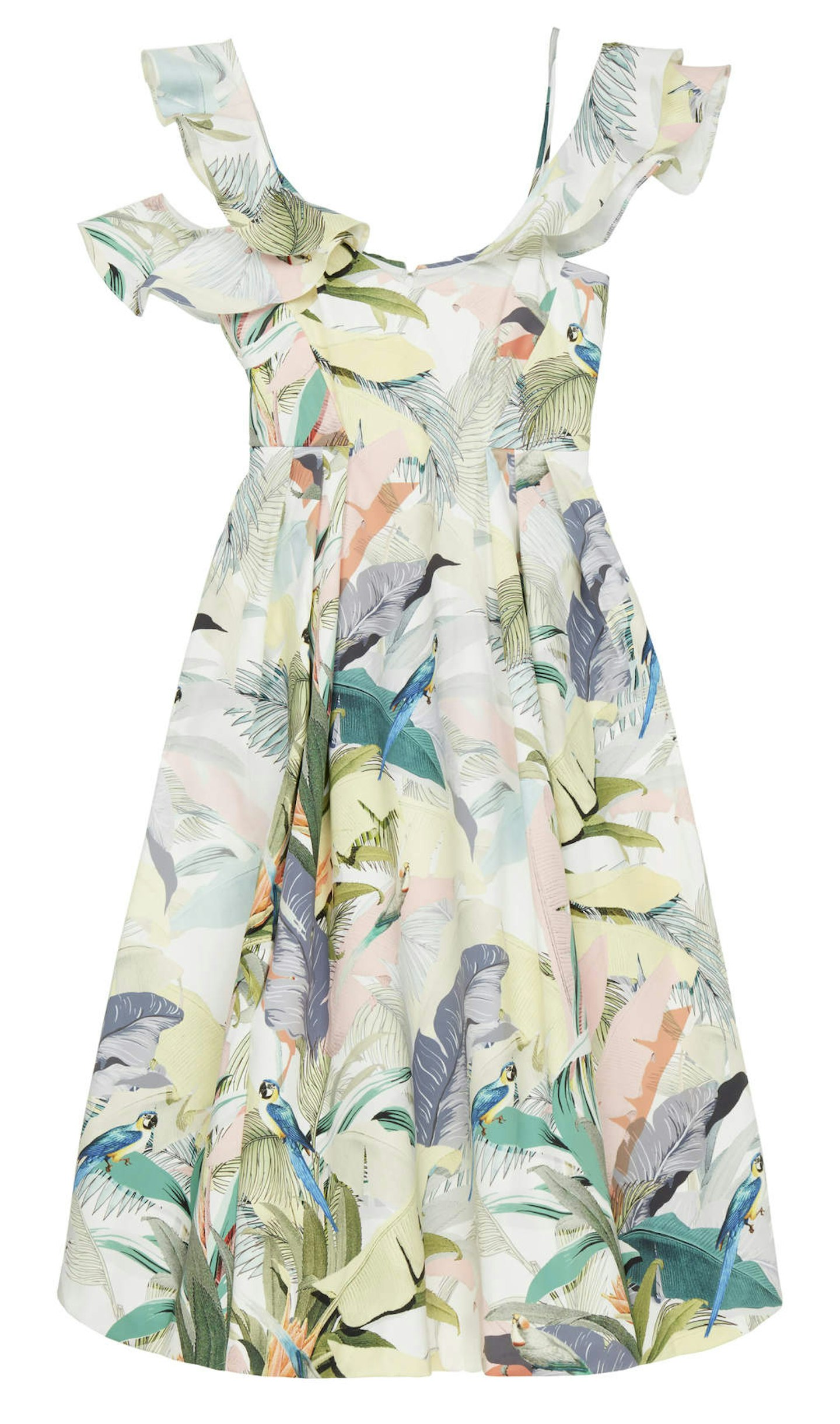 asos-curve-floral-dress