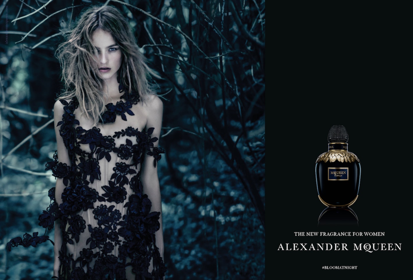 alexander mcqueen fragrance