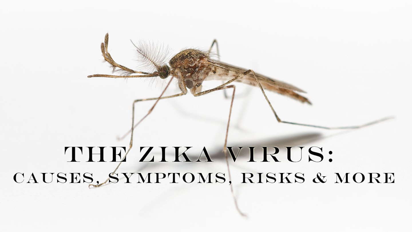 the zika virus causes symptoms and risks