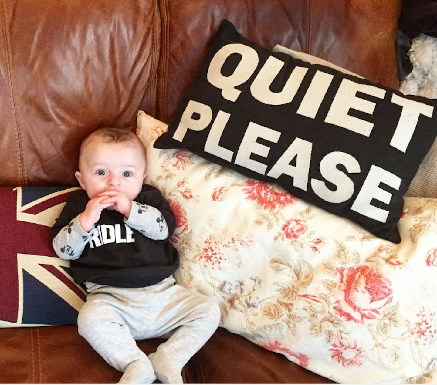 baby boggles quiet please