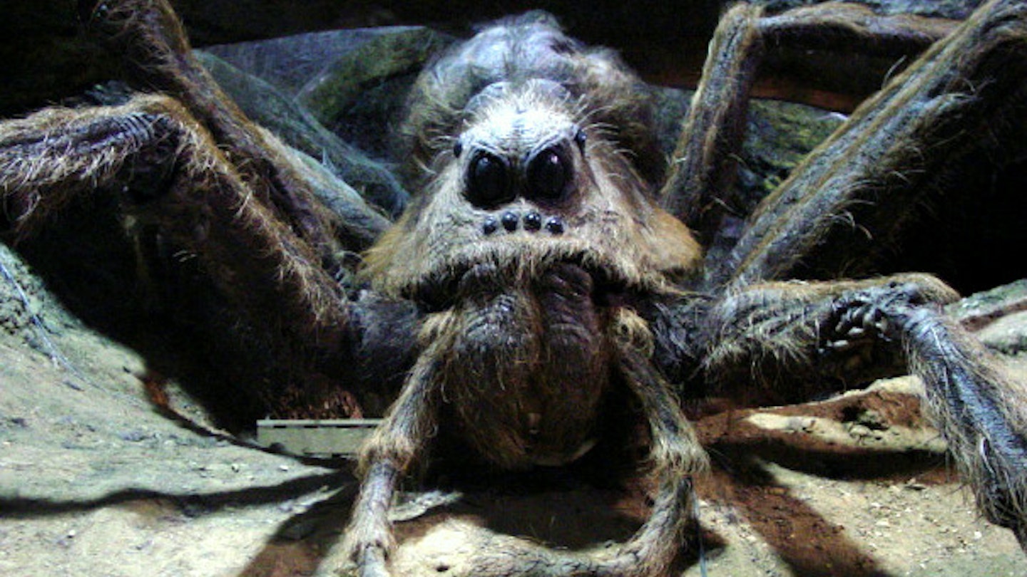 Aragog Harry Potter Giant Spider 