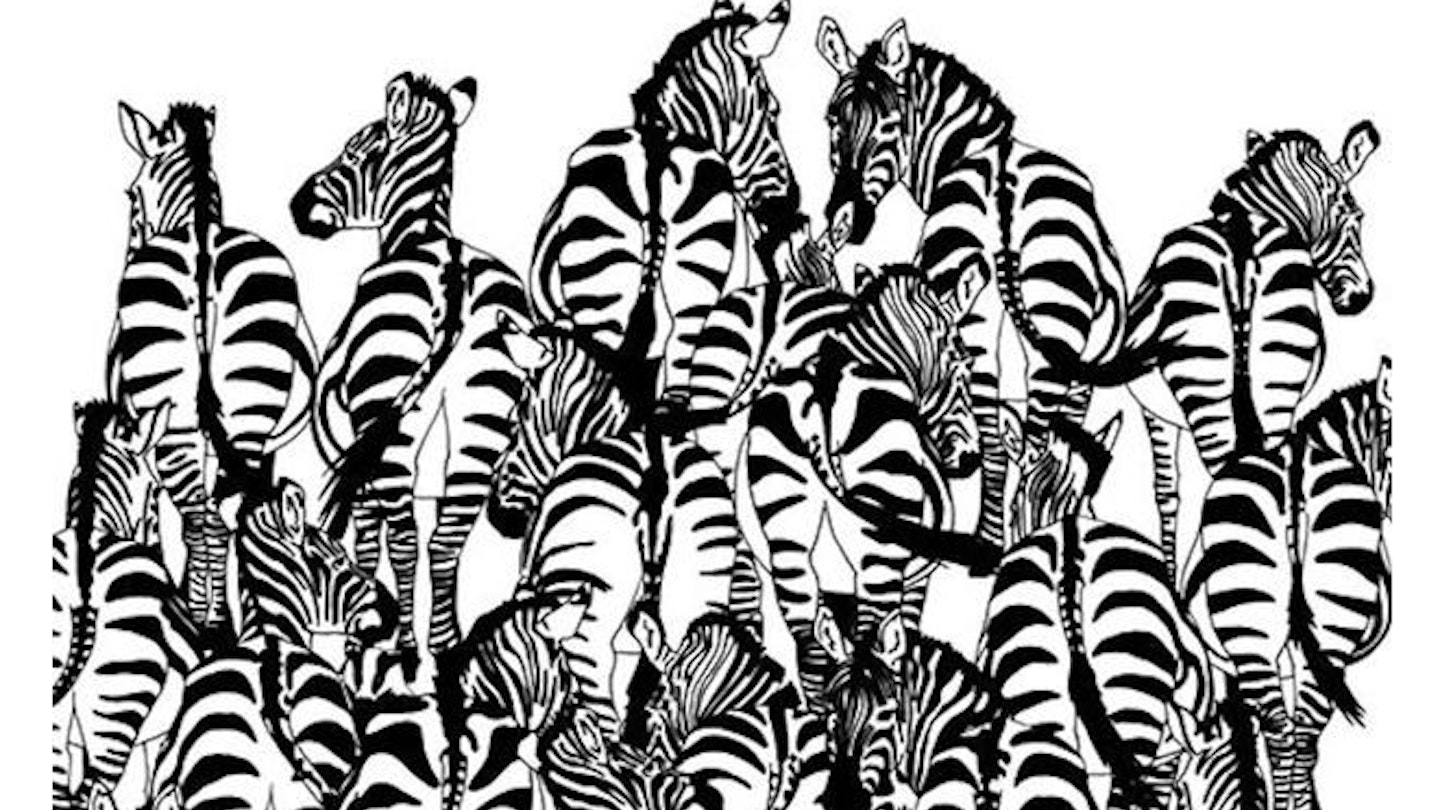 Zebra illusion puzzle