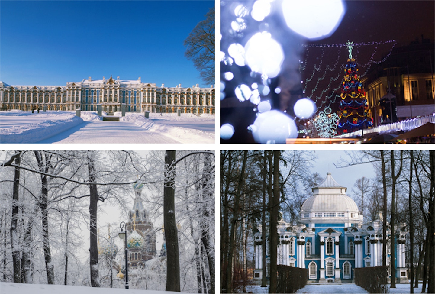 st petersburg christmas market