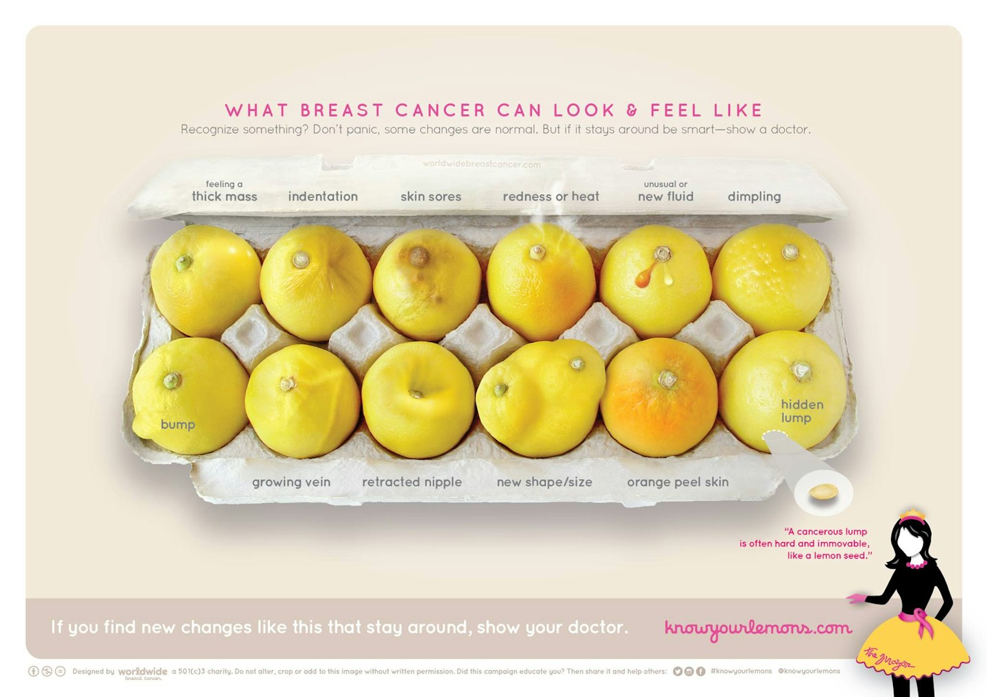 know-your-lemons-breast-cancer-signs-symptoms-corrine-ellsworth-beaumont