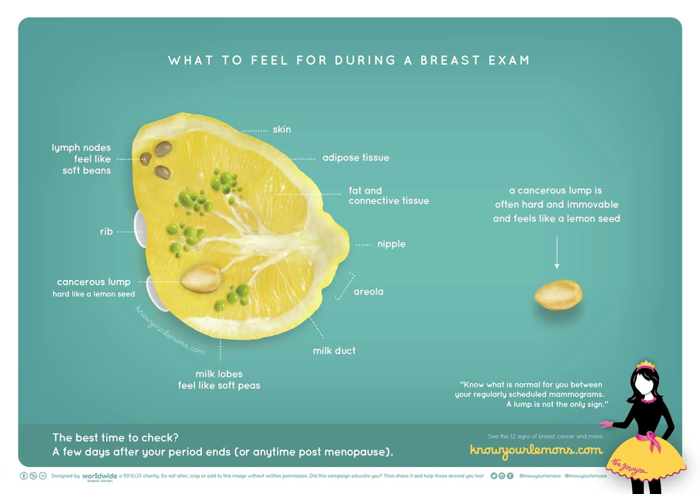 know-your-lemons-breast-cancer-signs-symptoms-corrine-ellsworth-beaumont