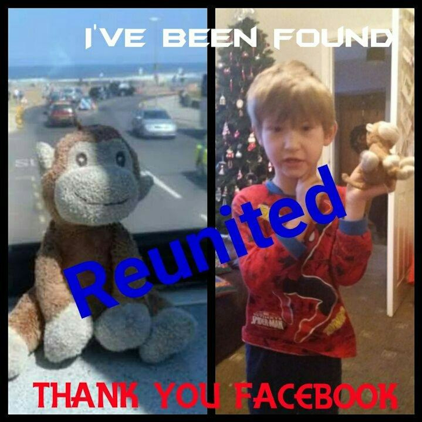 thomas-autistic-monkey-lost-found-rachael-branthwaite