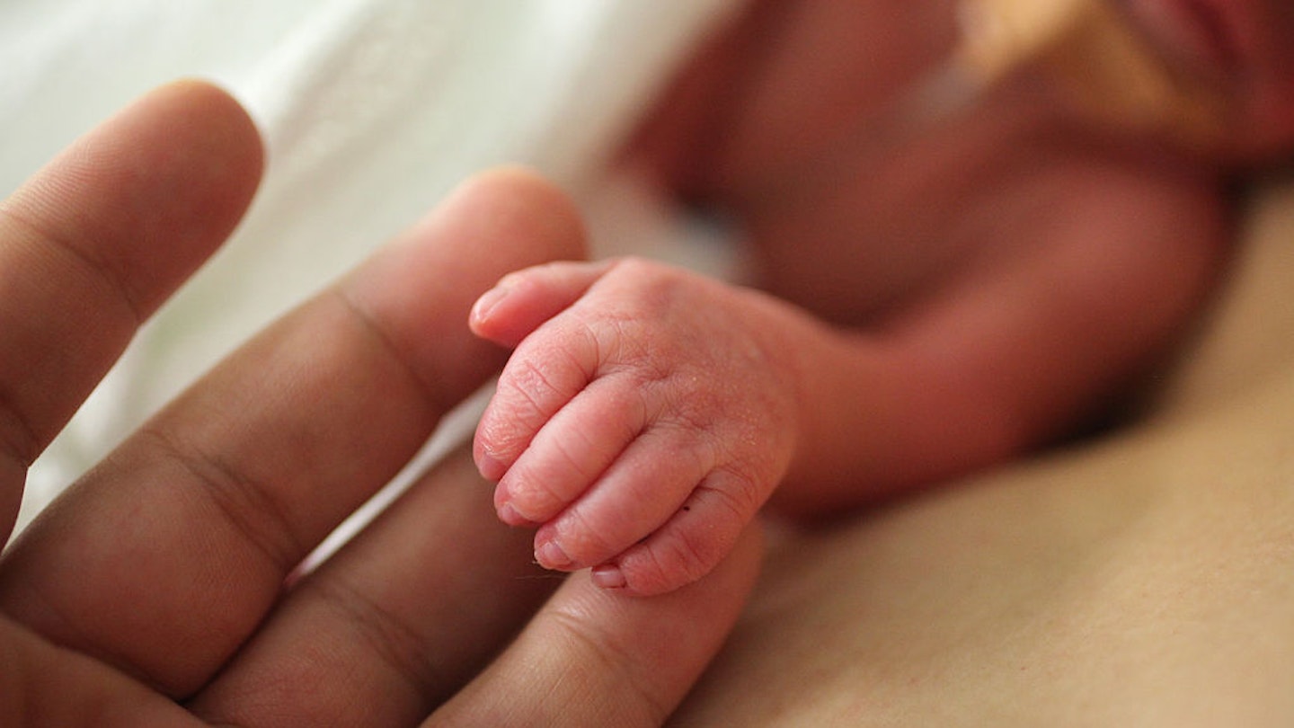 newborn baby holding hand