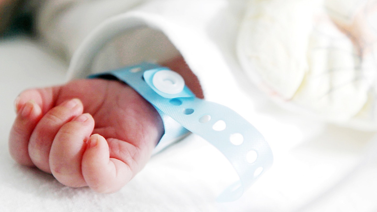 baby hand premature incubator newborn