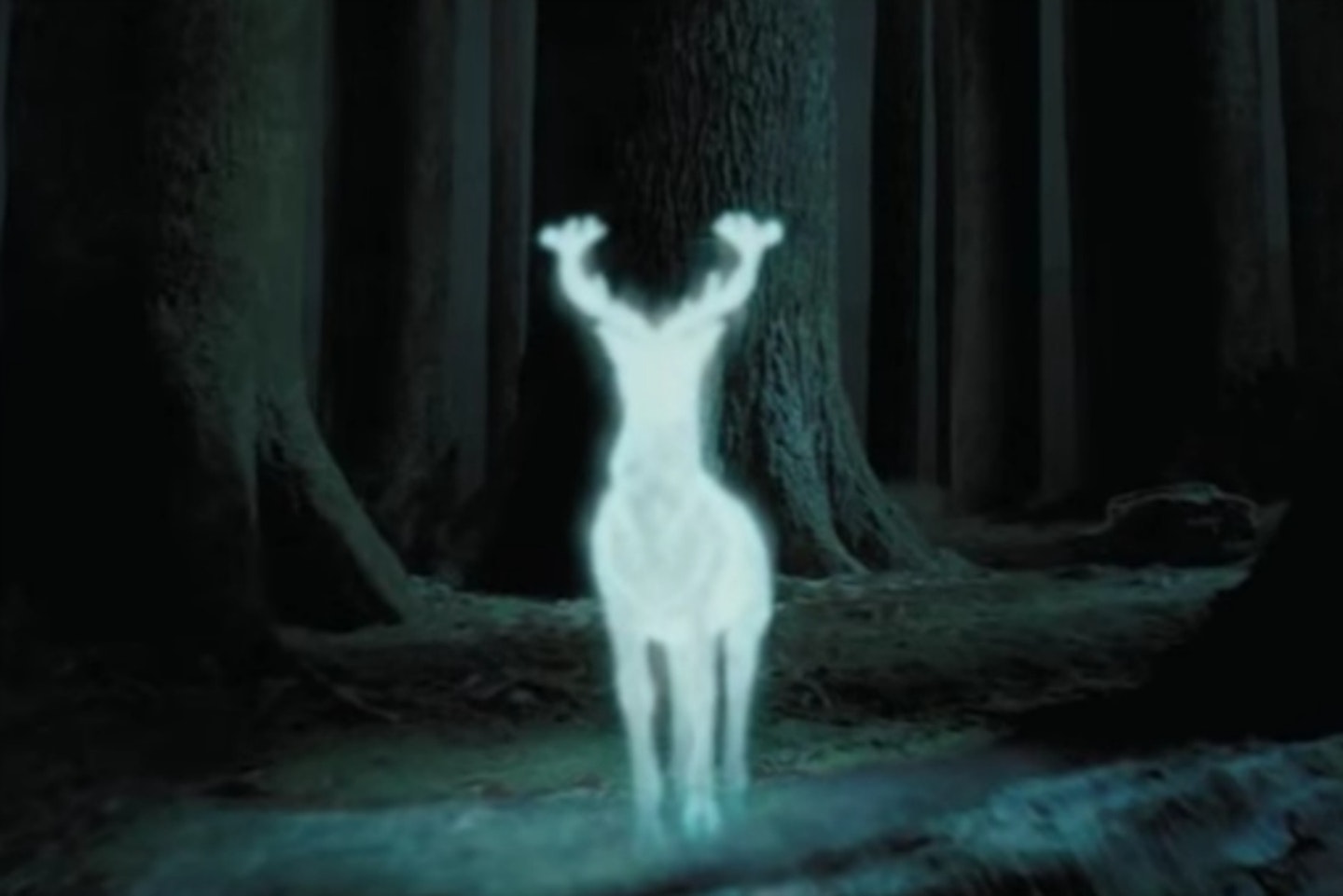 harry-potter-patronus-stag-prisoner-azkaban