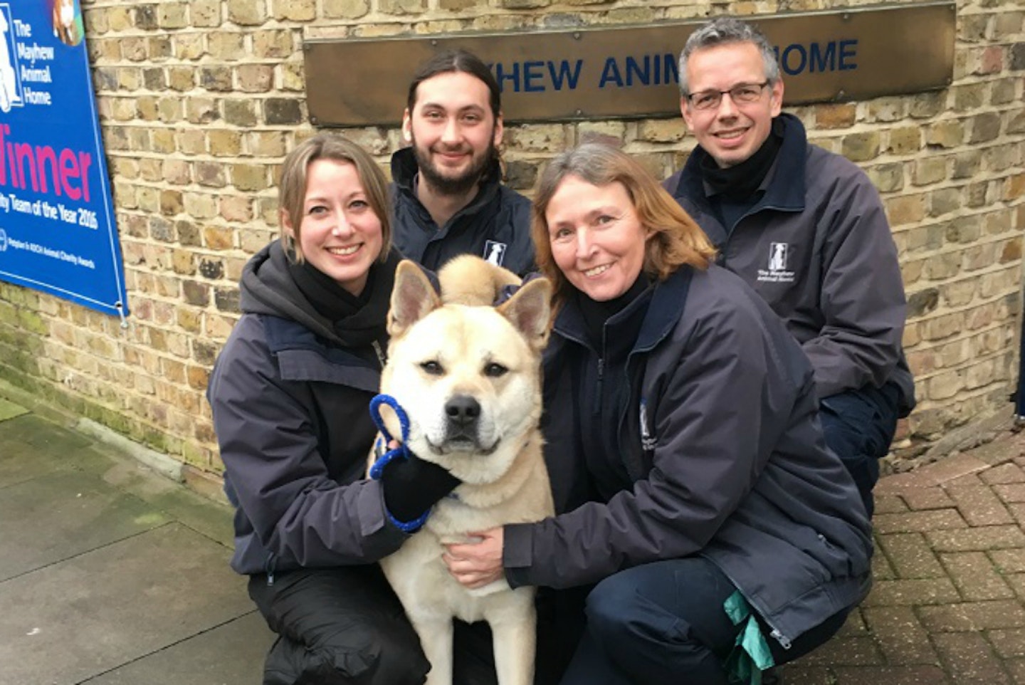prince-dog-adopted-mayhew-animal-home-shelter-charity-london