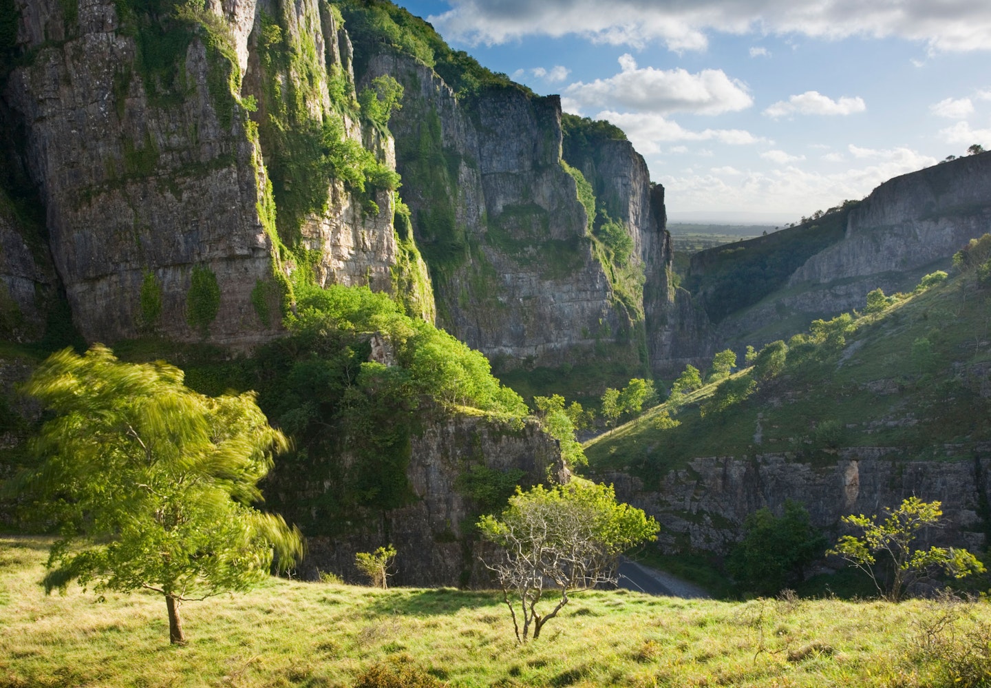 Cheddar Gorge