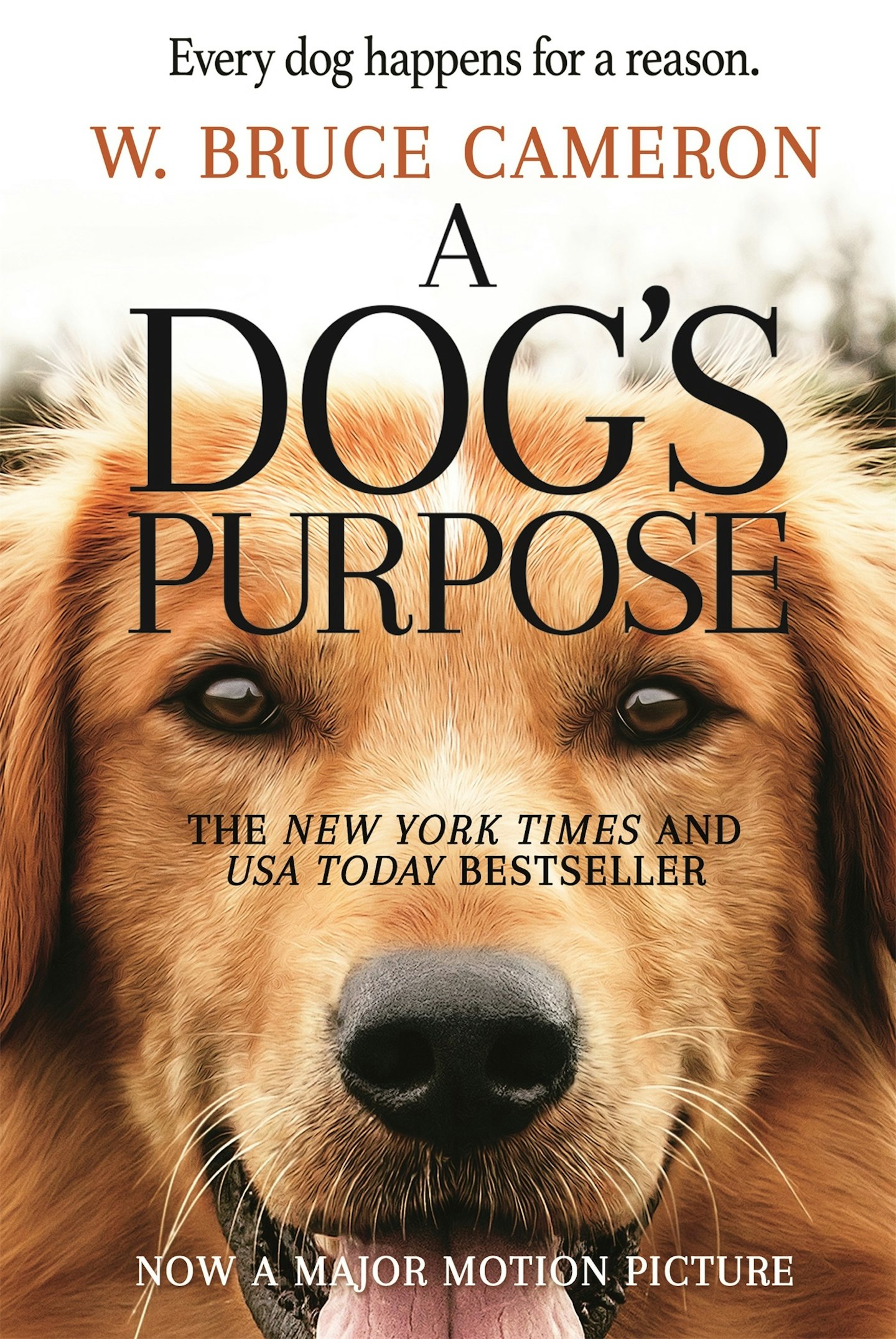 dogs-purpose