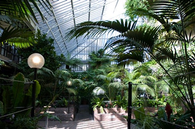 Barbican Conservatory