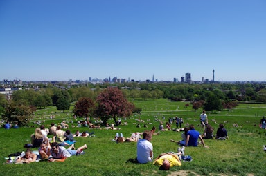 Primrose Hill