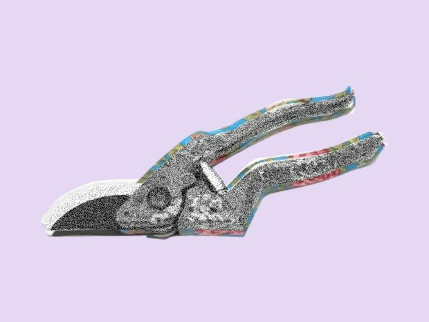 secateurs
