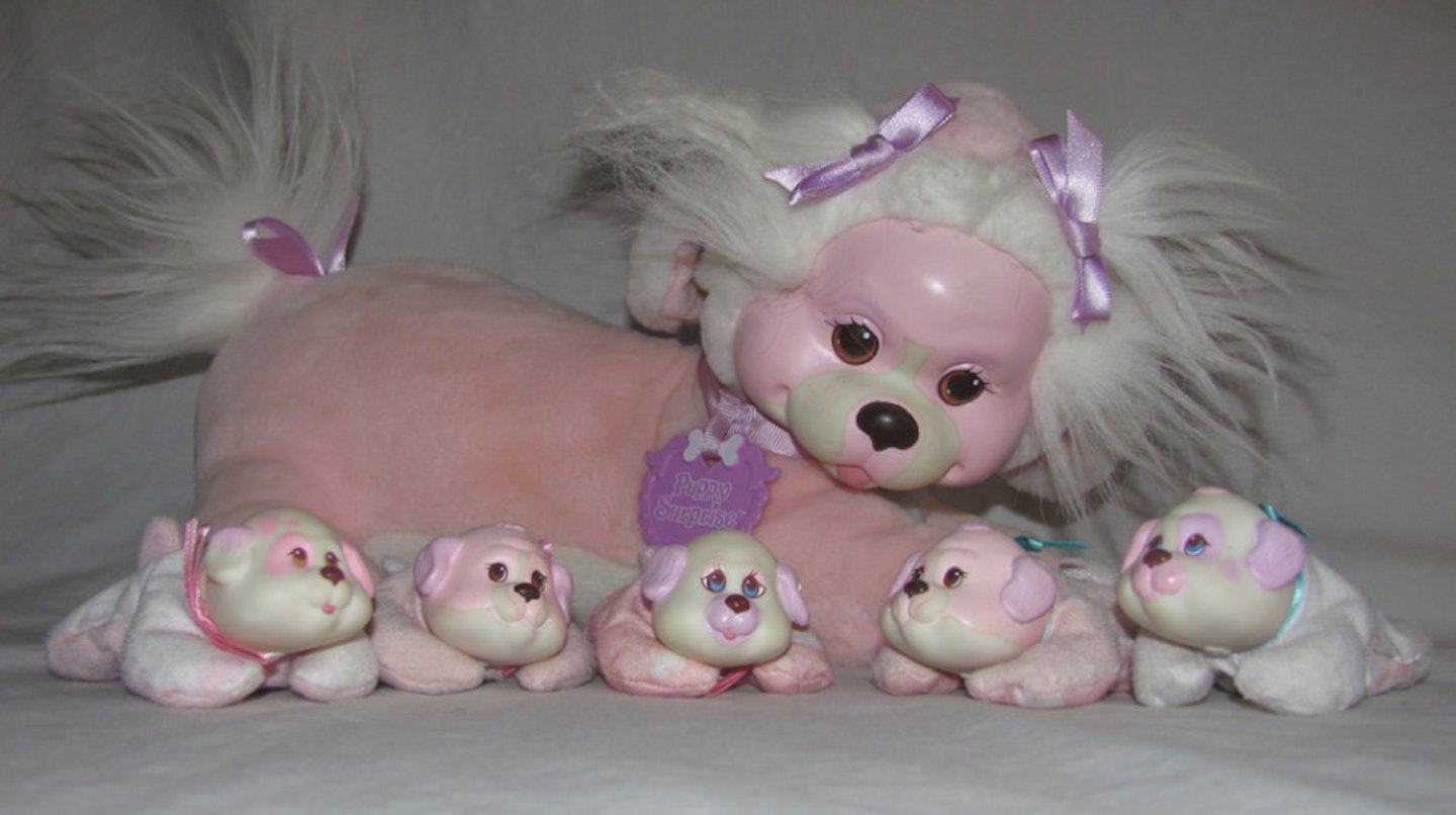 Puppy Surprise