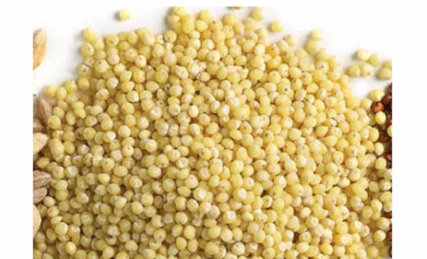 supergrains 13